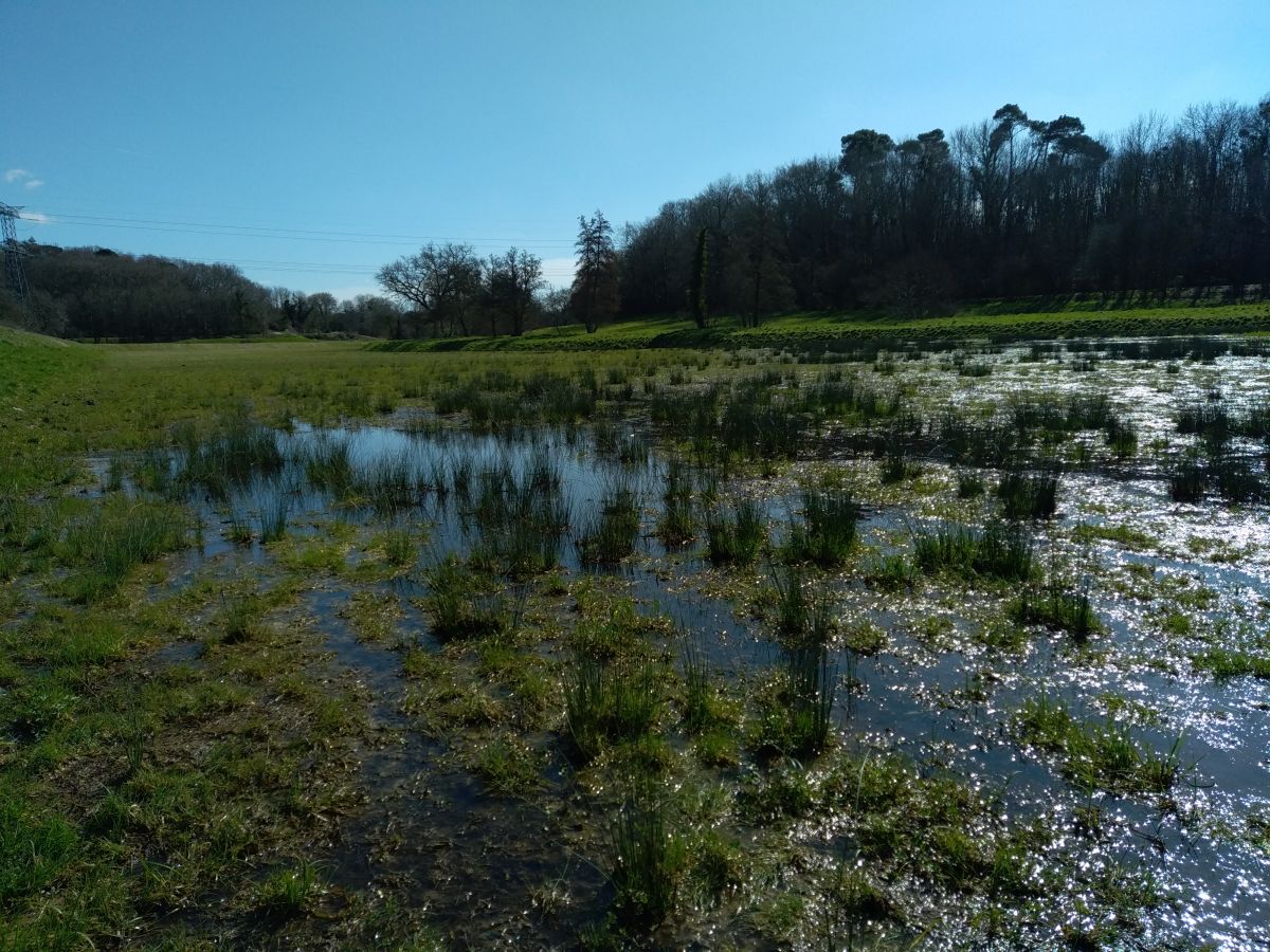 Le SIETRA signe la charte Natura 2000 du site (FR7200804) "Réseau hydrographique de la Pimpine".