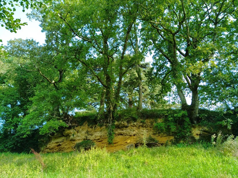 Affleurement calcaire du coteau en rive droite (12 août 2021)