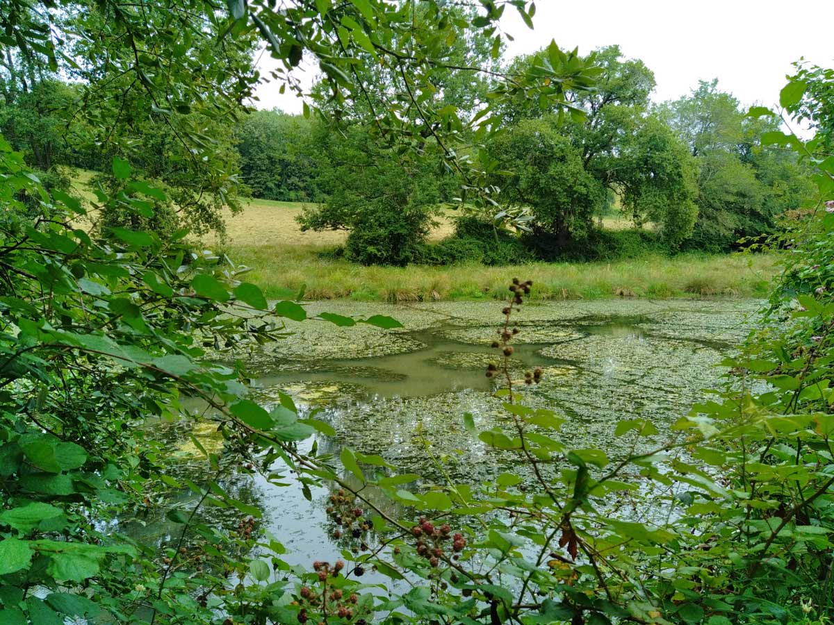 Plan d'eau en rive droite du Pian (Commune de Carignan)