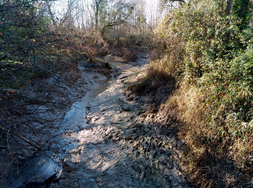 Confluence de l’Artolie avec le bras de la Garonne au droit de l’Ile de Raymond (16 décembre 2021) sur la commune de Paillet.