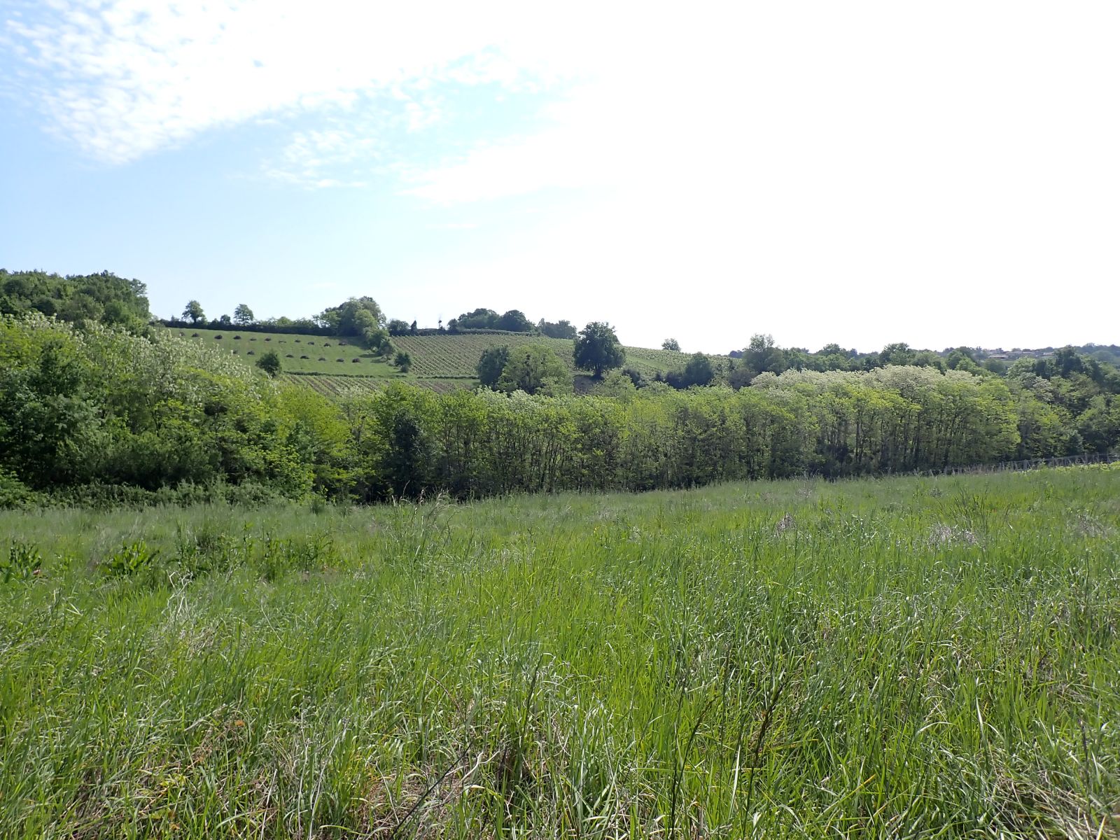 Vue de la vallée du Nau - zone amont