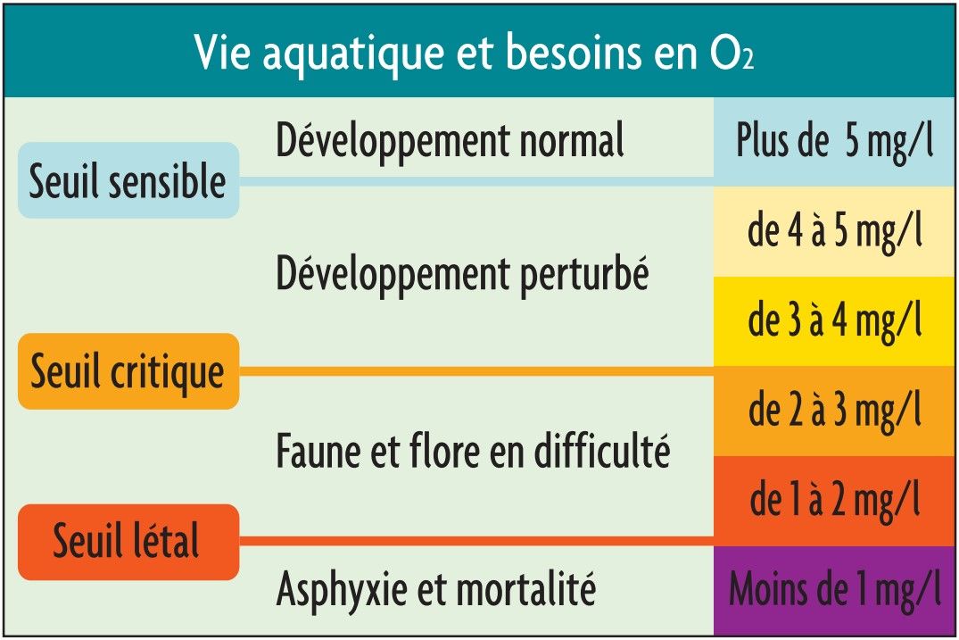 Source : 2002 Loire Estuaire Cellule de Mesures et de Bilans